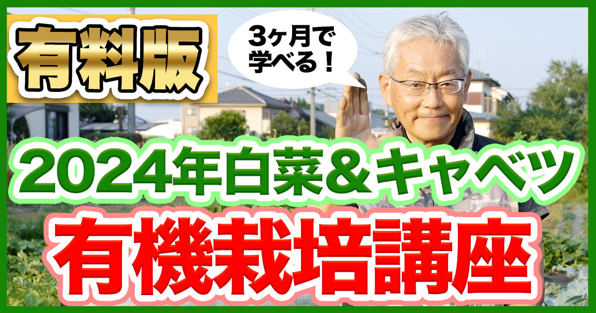 価格高騰に負けない！自分で作る白菜＆キャベツ 有機栽培講座2024【有料版】