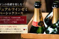 カジュアルワインゼミ【入門】ワインの基礎を楽しむベーシックコース