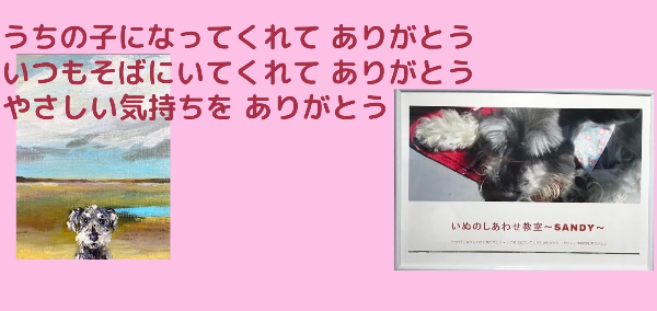 いぬのしあわせ教室～SANDY～（やまうちきくえ）