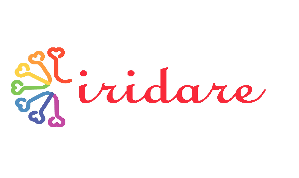 iridare embroidery