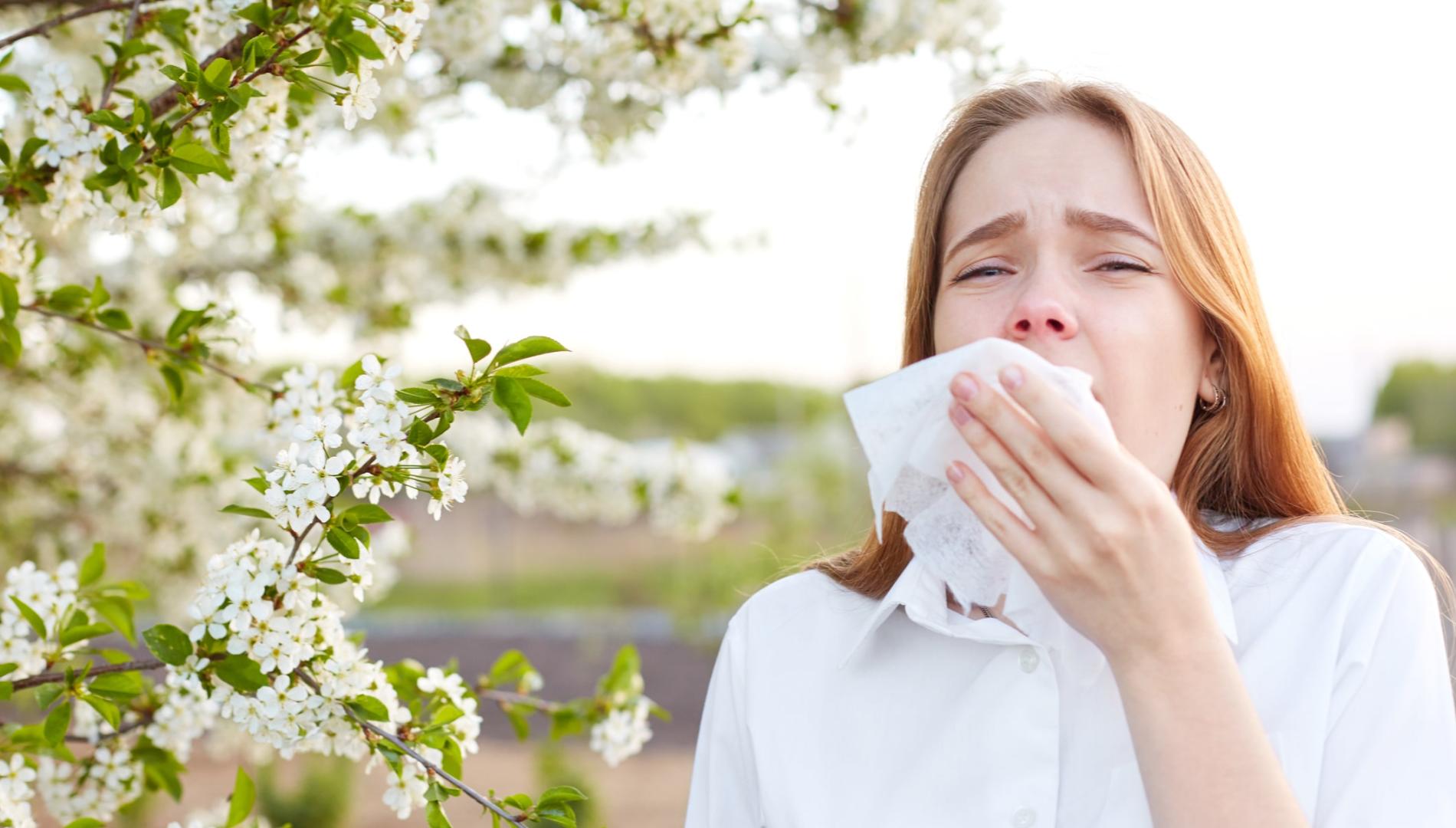 A woman in a white shirt, holding a tissue and about to sneeze in front of a blossom tree