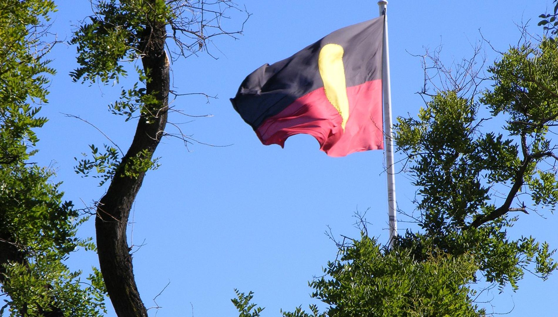 An Aboriginal flag flying in front of trees