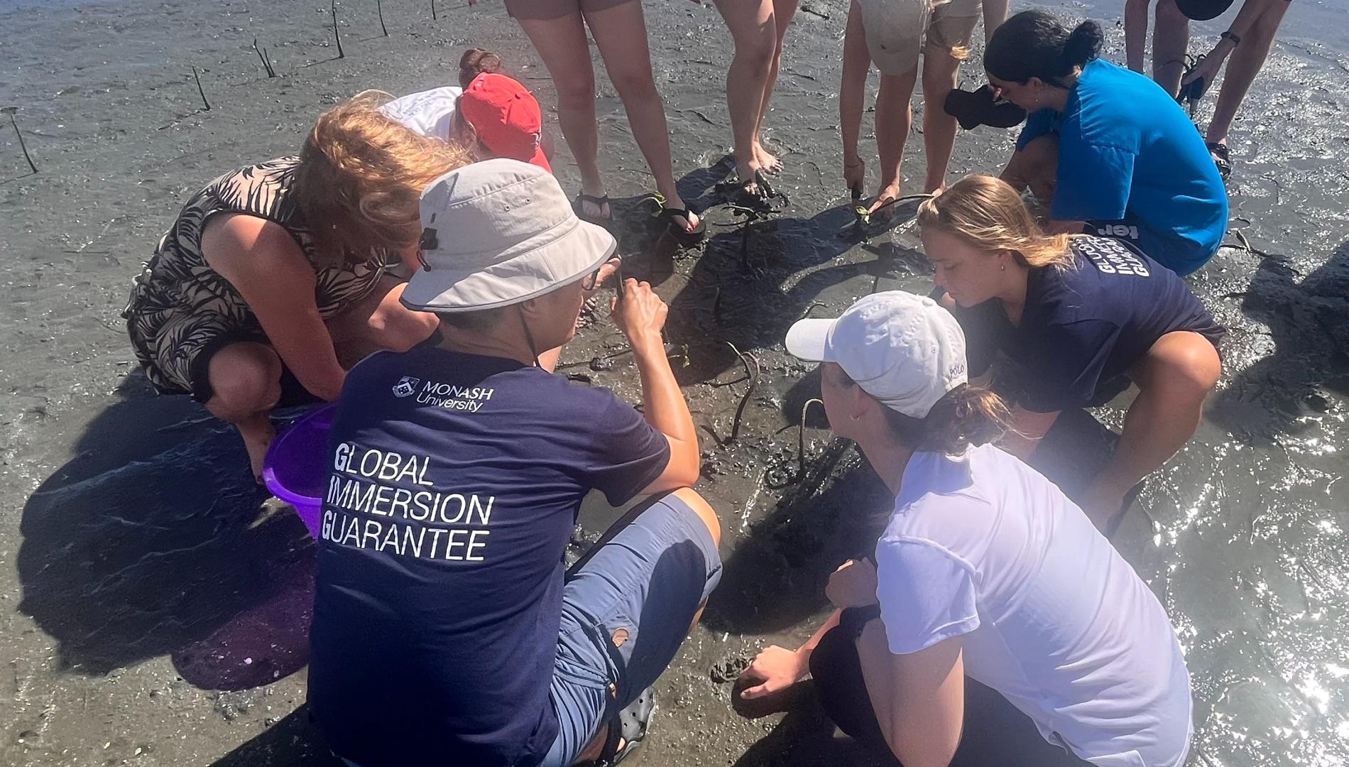 Monash University students and staff explore Fiji's mangroves, as part of the Global Immersion Guarantee program..