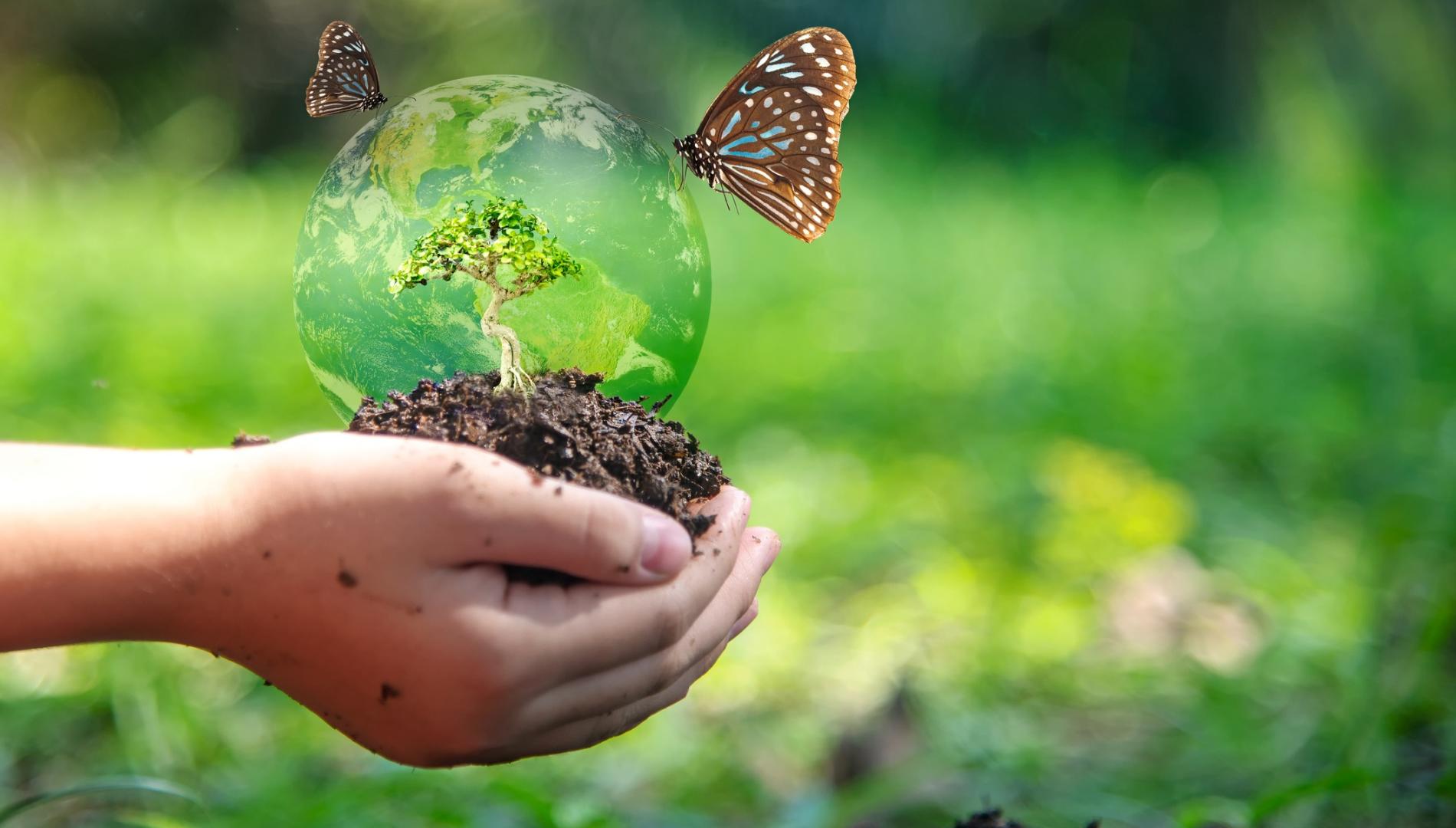 Child cradling a clear ball with tree inside and butterfly.