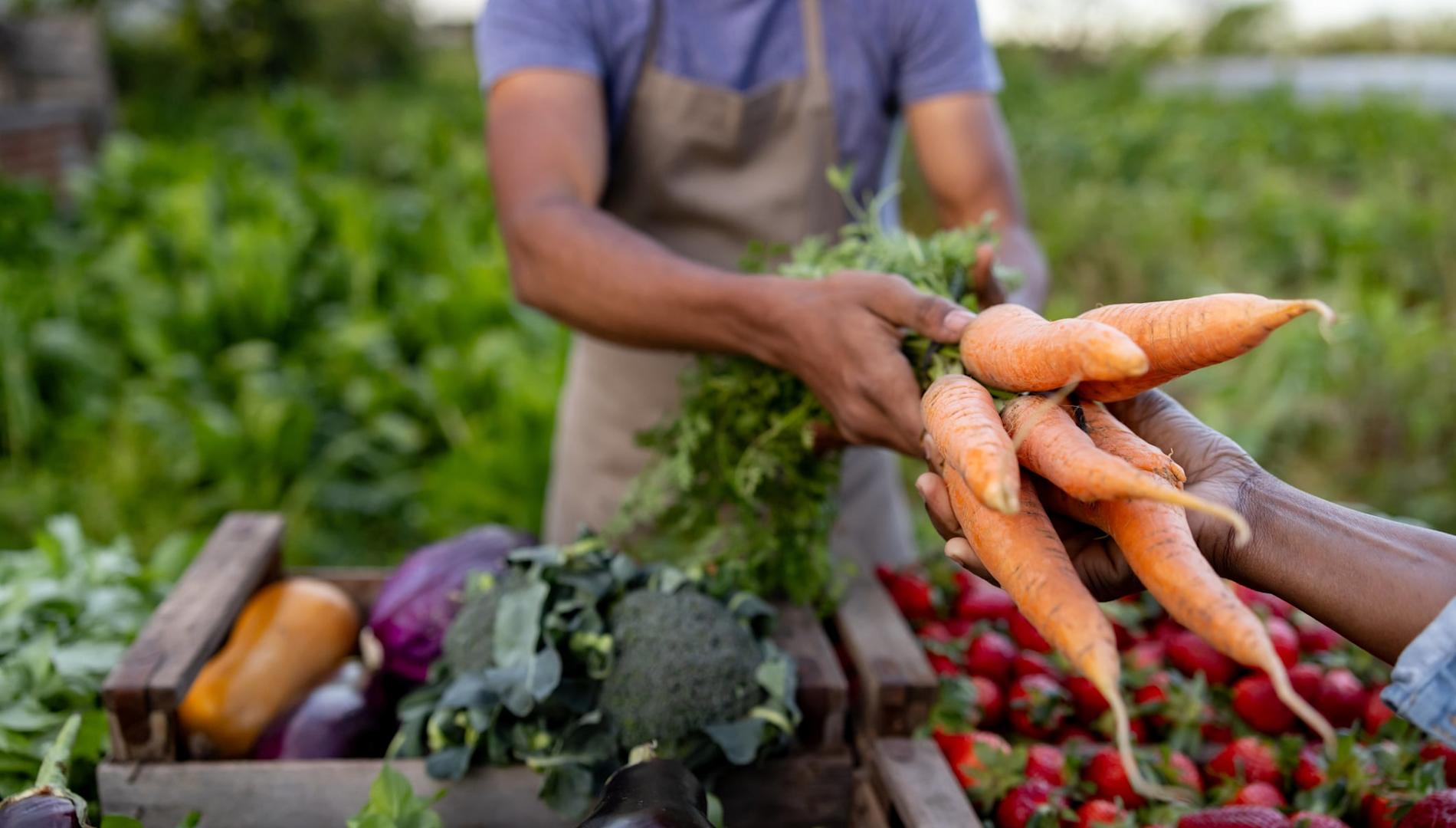 Close-up of a man with boxes of vegetables and fruit