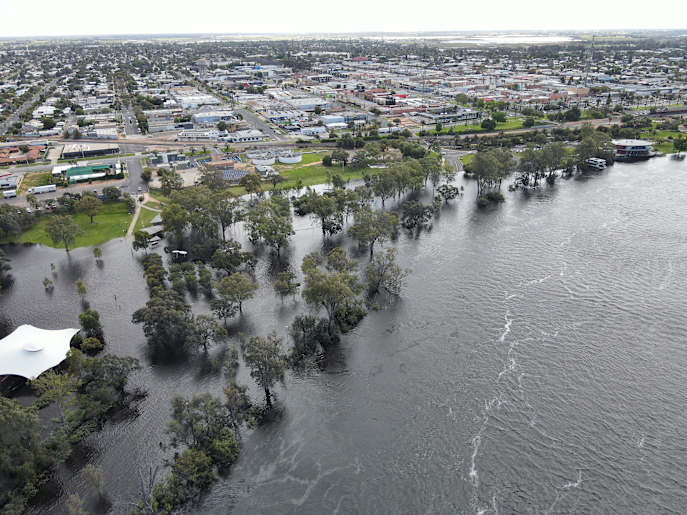 Mildura Riverfront flood photos