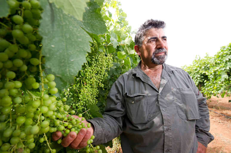 Efforts bear 2023 Dried Fruits Australia Quality Award