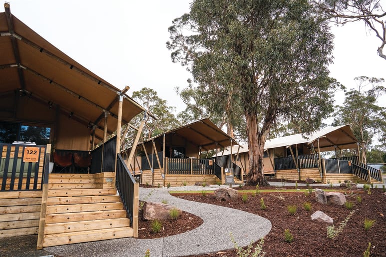 safari tent phillip island