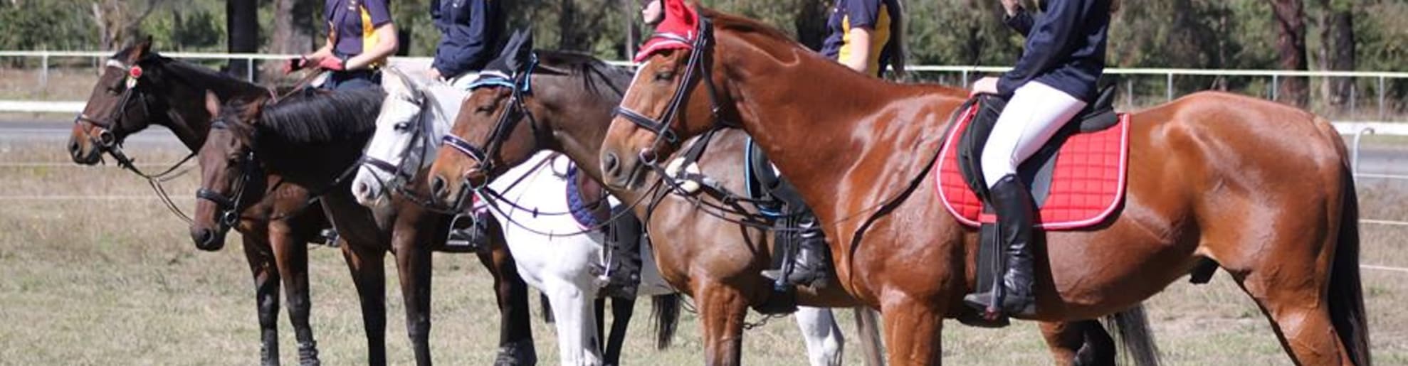 Heartstarters AED grants for Warren district sports and community clubs