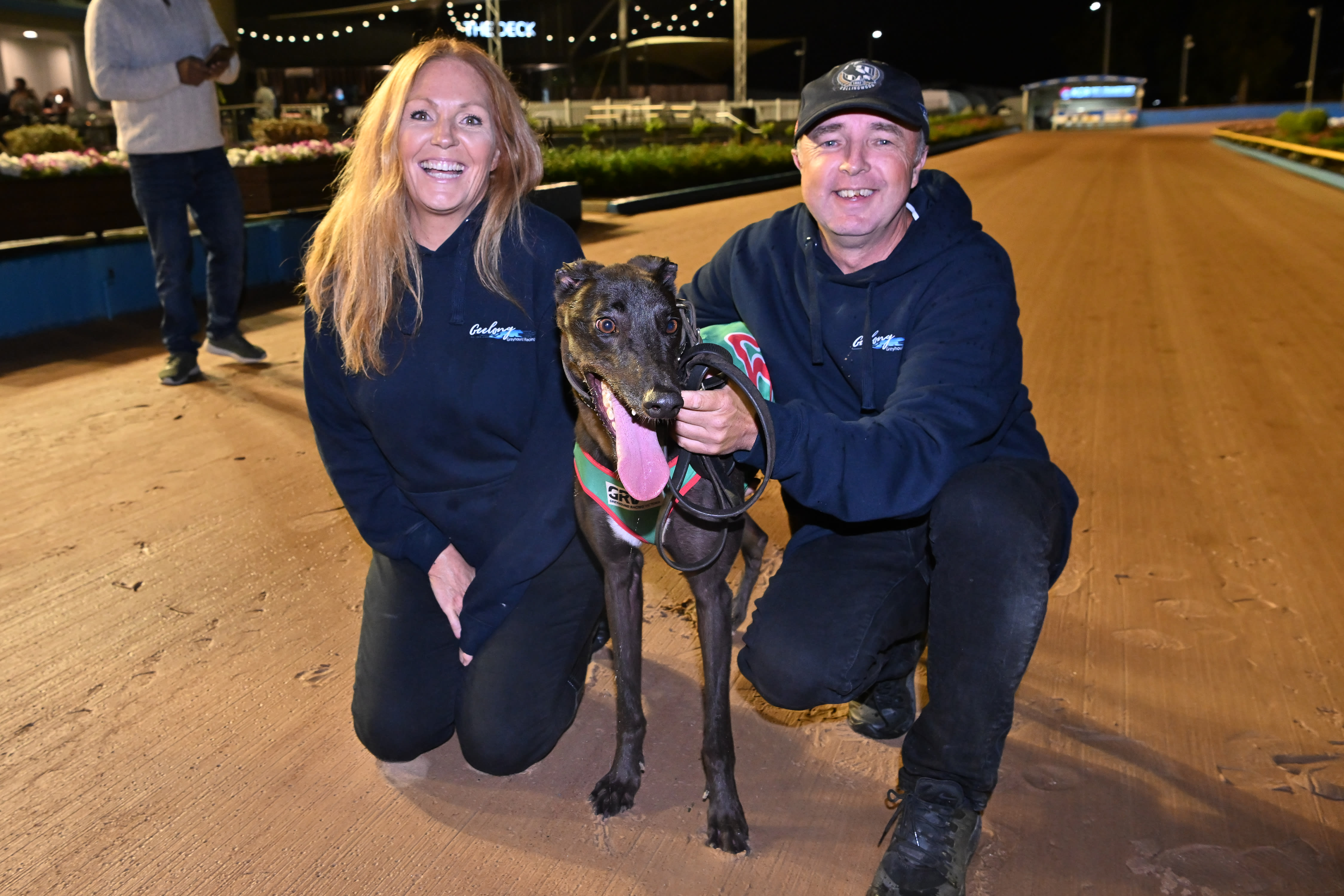 Steve Lockhart Greyhound Trainer - Stats & News