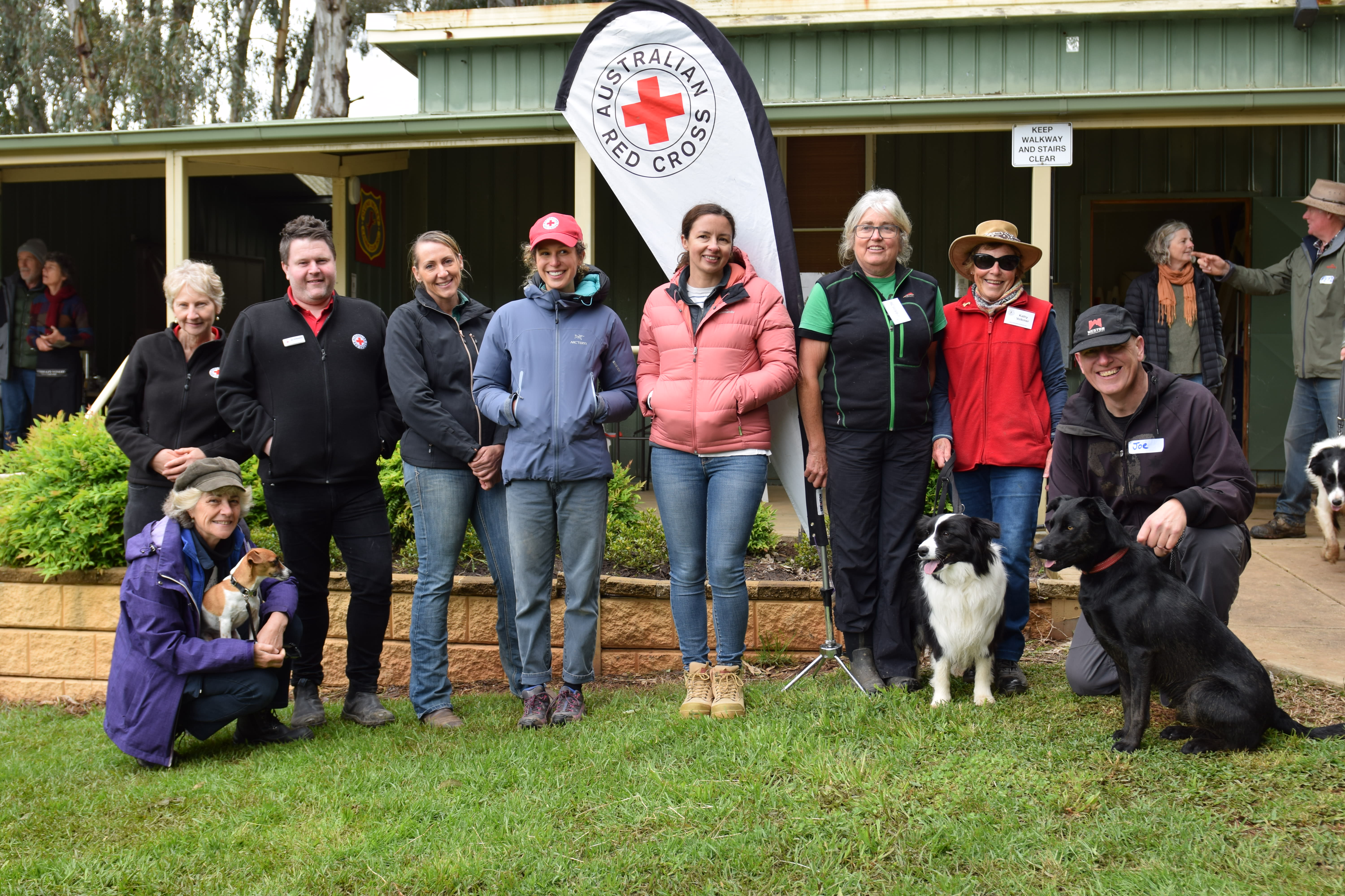 Red cross collie cheap