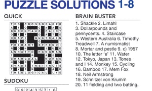 the witness puzzle solutions lumber