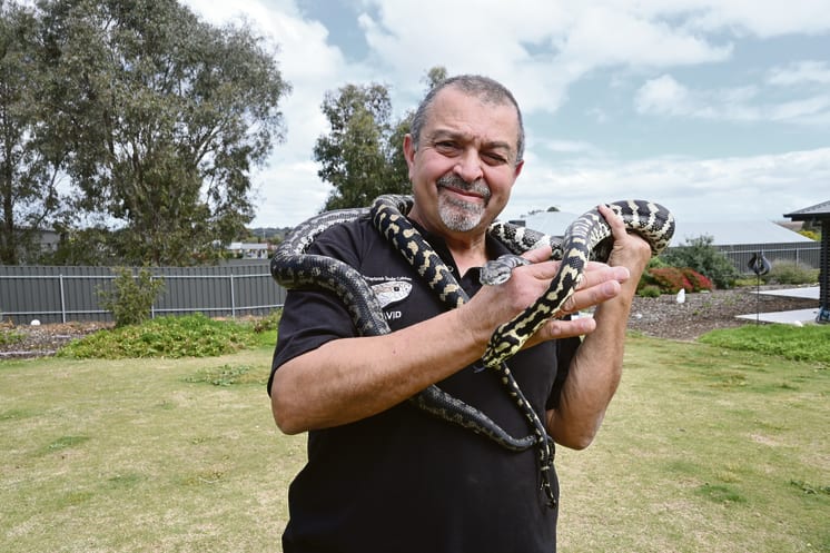 Murraylands Snake Catcher