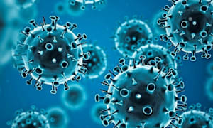 COVID infections continue overall decline