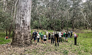 Talk and walk highlight importance of large old trees