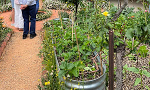 Friends garden fundraising success supporting Timor-Leste