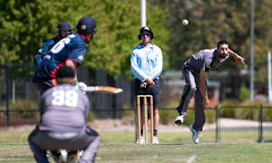 ‘Pies back to hunt Tigers