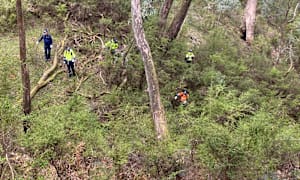 Police allow partial opening of Mount Buffalo National Park