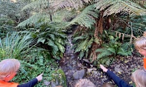 Harrietville Bush Kinder in running for state award
