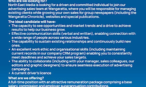 Advertising Account Manager