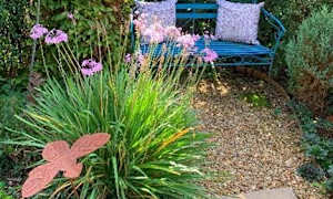Judging to commence for garden competition
