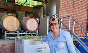 Alpine Valleys' winegrape crush up on volume, value