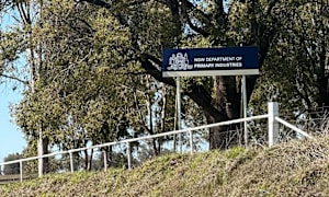 Director responds to alleged research centre staff cuts