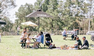 Ballinaclash blossom festival