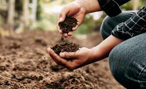 Growing the next generation of farming leaders
