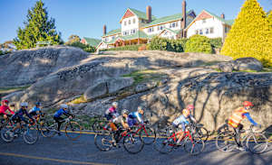 Alpe de Buffalo is almost here