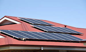 Council to progress climate action through adopted plan