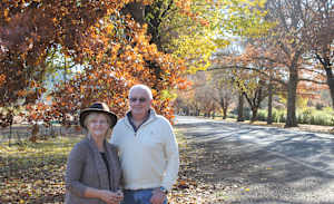 More protection for Bright's 'Gateway Trees'
