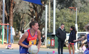 Bushies’ tame the Tigers