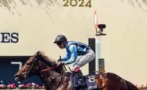 Noor Elaine Farm celebrates Asfoora's stunning Royal Ascot win