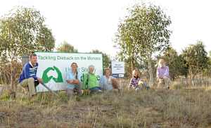 Upper Snowy Landcare finishes key project