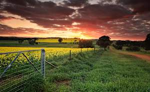 Regional Australians lean into lasting lifestyle reset