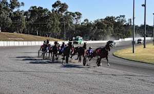 Grimson takes home Young Carnival of Cups