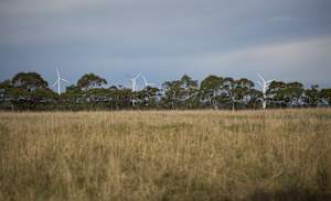 Wind farm opened at Rye Park