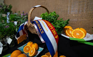 Ag Show entries open this week