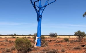 Blue tree paint job dodges the weather