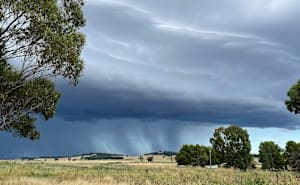 Health district issues thunderstorm asthma warning