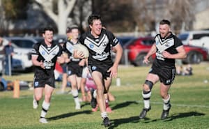 Magpies rule the roost