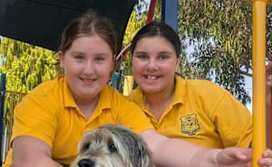 Bob and Molly play around