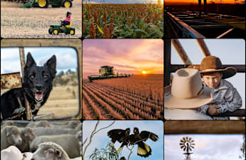 Entries open for Spirit of the Bush photos