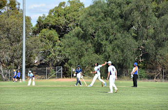 Finals fever hits the cricket pitch
