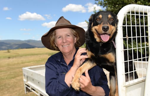 Mudgegonga producer a new voice on Cattle Australia's regional committee