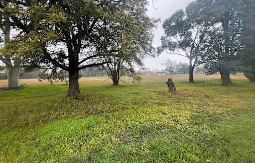 Bruck moves to divide land
