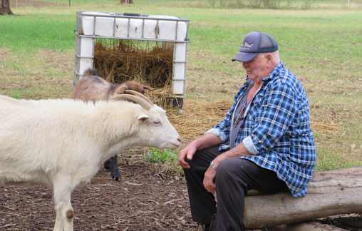 Second chance at life for 'Snowy'