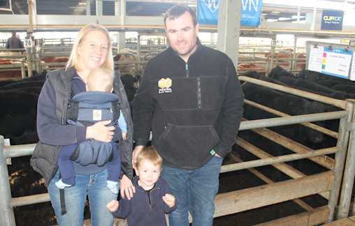 Young steers giving struggling vendors bang for buck