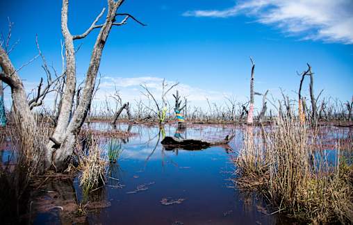 Transition month ahead for Winton Wetlands